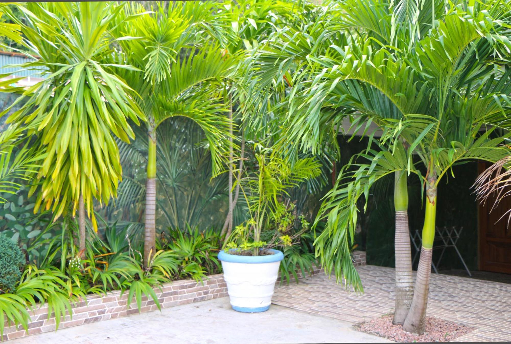 Appartamento Ocean Blue Bay Anse Volbert Village Esterno foto