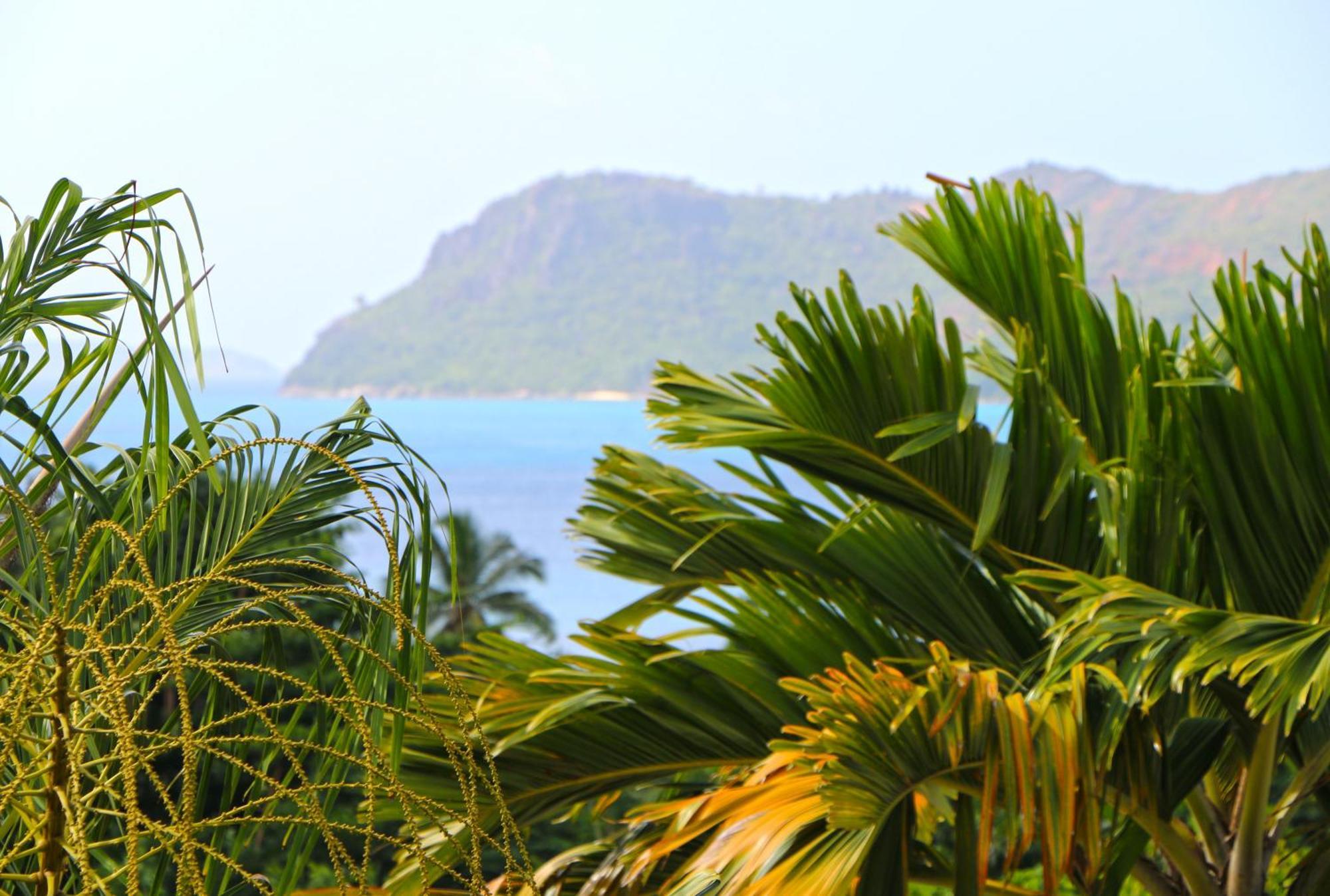 Appartamento Ocean Blue Bay Anse Volbert Village Esterno foto