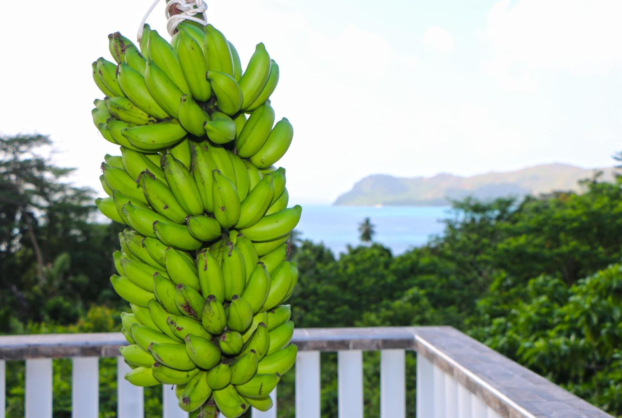 Appartamento Ocean Blue Bay Anse Volbert Village Esterno foto