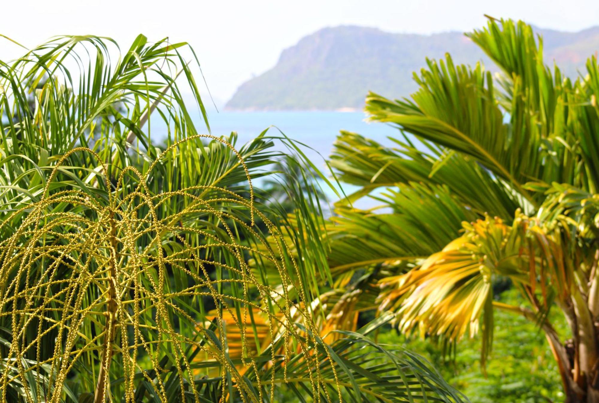 Appartamento Ocean Blue Bay Anse Volbert Village Esterno foto